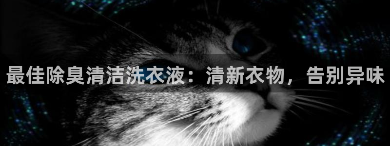 尊龙凯时城娱乐