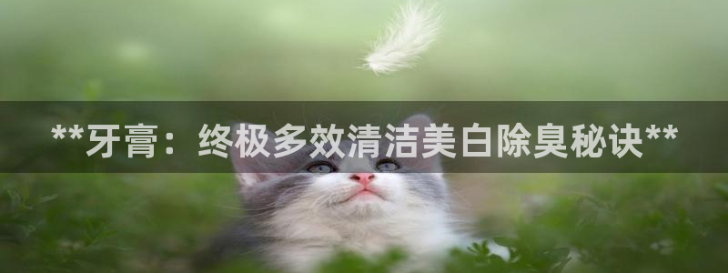 尊龙体育怎么样