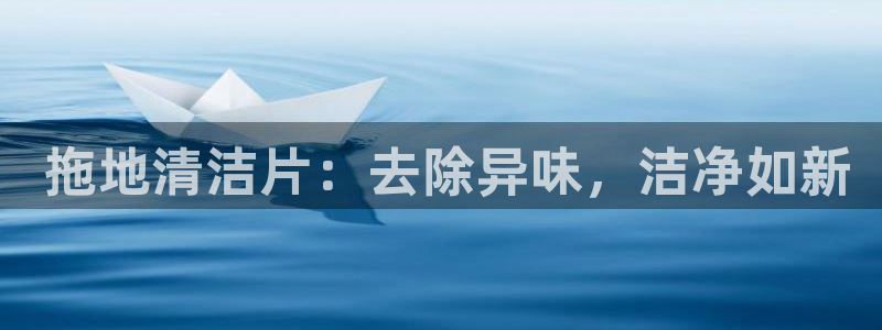 尊龙官网注册： 拖地清洁片：去除异味，洁净如新