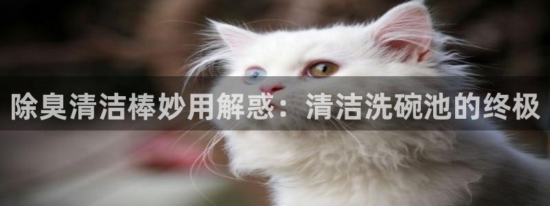 尊龙集团有限公司官网地址：除臭清洁棒妙用解惑：清洁洗碗池