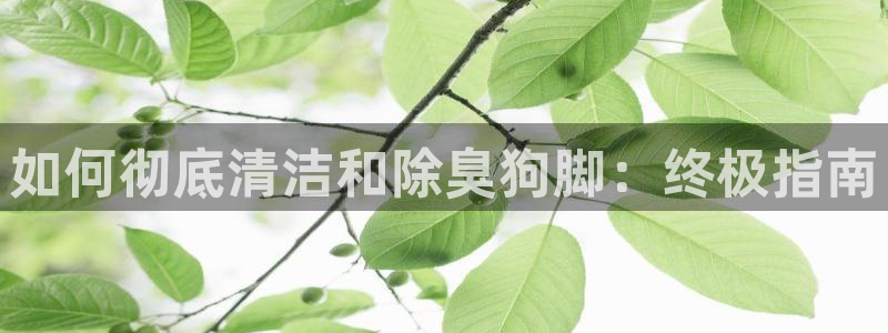 尊龙t400和尊龙t300区别