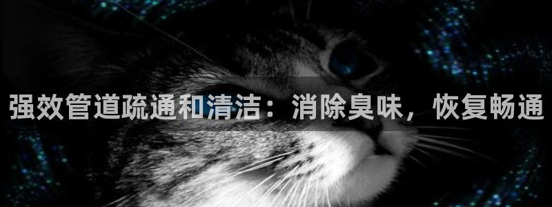 尊龙凯时赢不了：强效管道疏通和清洁：消除臭味，恢复畅通