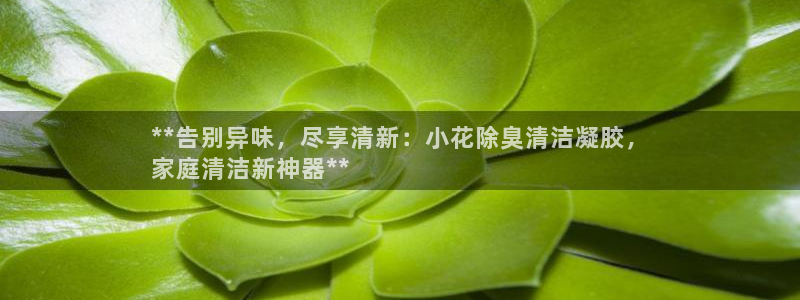 z6尊龙凯时ag旗舰厅