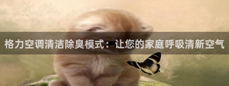 尊龙凯时平台怎么样：格力空调清洁除臭模式：让您的家庭呼吸