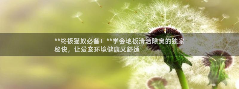 尊龙ag旗舰厅手机版：**终极猫奴必备！**学会地板清洁