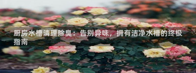尊龙凯时d3563：厨房水槽清理除臭：告别异味，拥有洁净