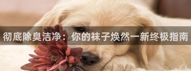 尊龙集团有限公司是国企吗