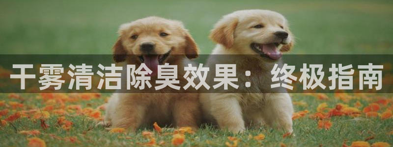 尊龙游戏官网游戏特色