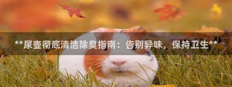尊龙凯时下载人生就是博：**尿壶彻底清洁除臭指南：告别异