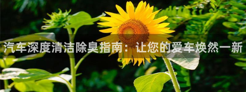 ag尊龙官方网站app
