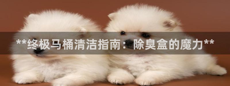尊龙用现金一下可靠送38元