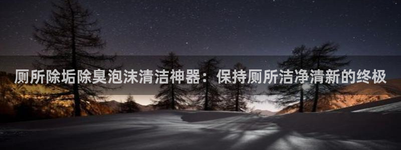 尊龙app注册官网：厕所除垢除臭泡沫清洁神器：保持厕所洁