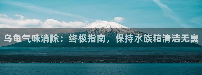 尊龙凯时家居是品牌吗