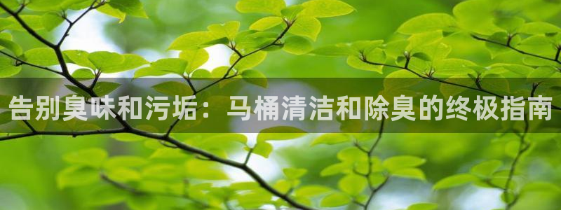 尊龙凯时app官网