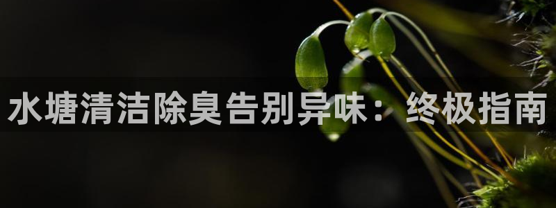 凯时国际平台有人赢吗