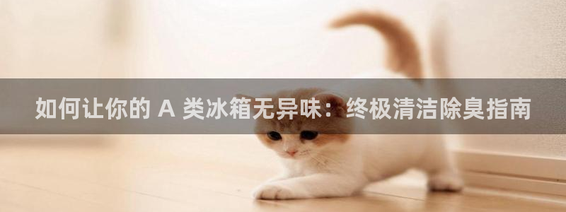 尊龙凯时app产品介绍：如何让你的 A 类冰箱无异味：终
