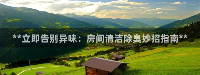 尊龙凯时d3563：**立即告别异味：房间清洁除臭妙招指