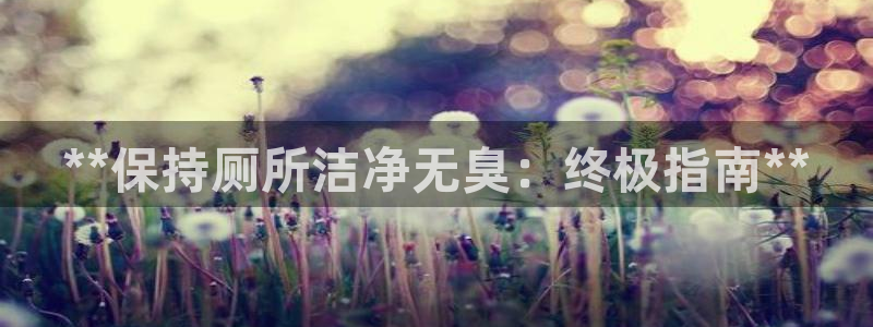 尊龙注册码：**保持厕所洁净无臭：终极指南**