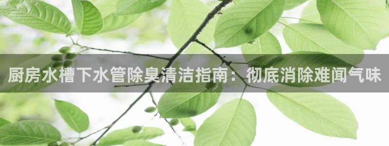 尊龙人生就是博i可靠吗