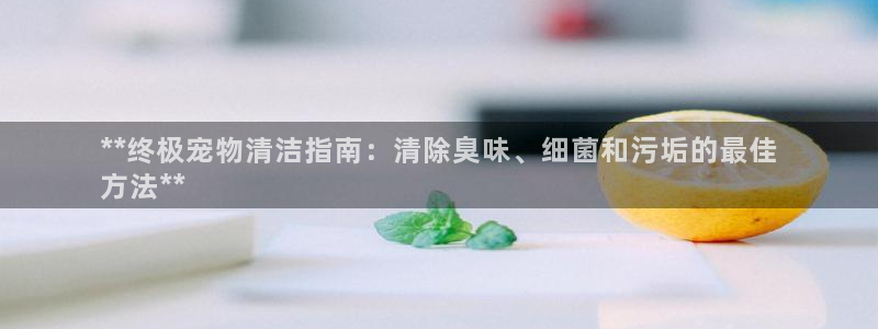 尊龙 贴吧