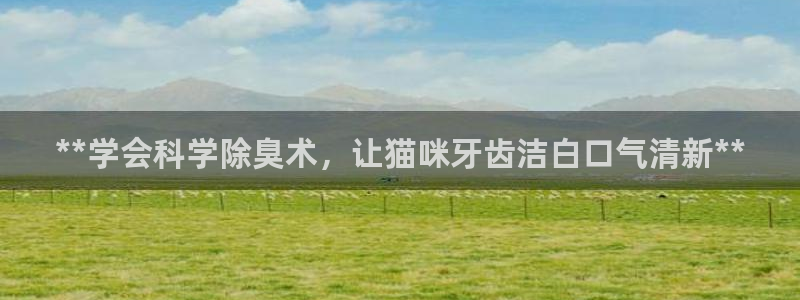 尊龙官网免费下载安装：**学会科学除臭术，让猫咪牙齿洁白