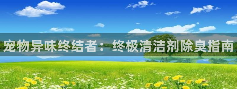 尊龙实业有限公司是正规还是仿：宠物异味终结者：终极清洁剂