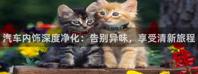 尊龙注册码：汽车内饰深度净化：告别异味，享受清新旅程