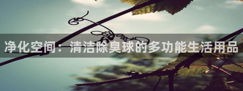 尊龙凯时人生就是搏官