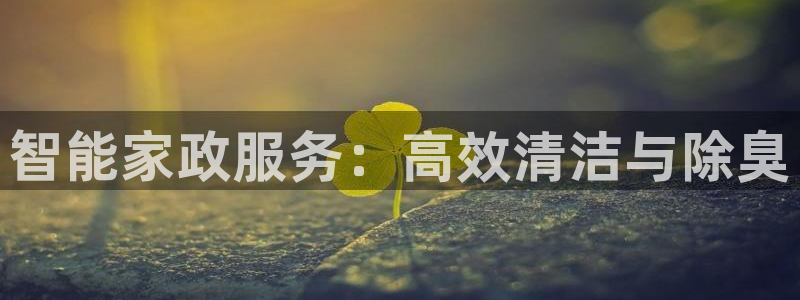 尊龙长相评价