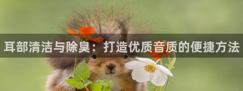 尊龙官网手