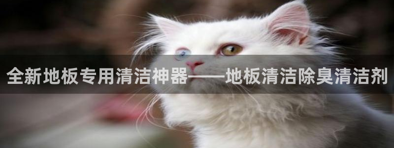 尊龙人生就是博网站