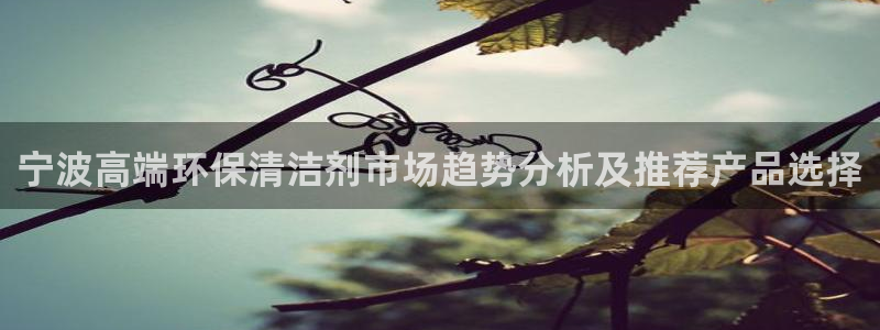 尊龙凯时白家乐Abb下载