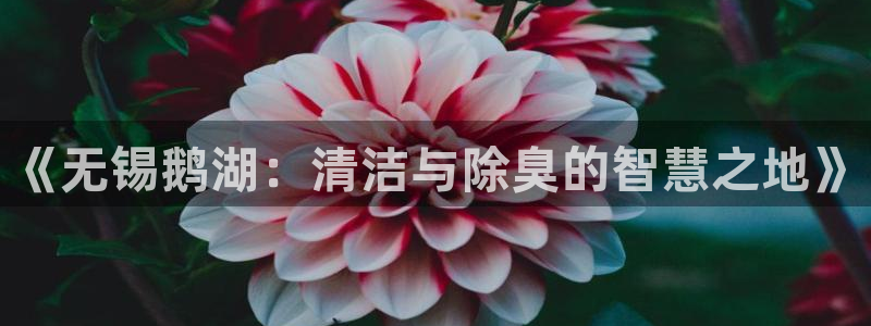 尊龙凯时平台入口